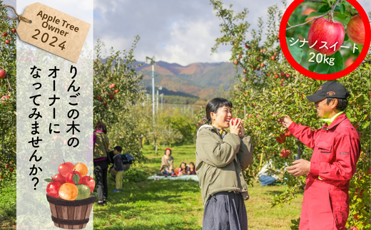 24A りんごの木のオーナー(シナノスイート)20kg限定/10月上旬〜中旬頃収穫 //長野県 南信州 りんごオーナー りんごの木オーナー 収穫体験