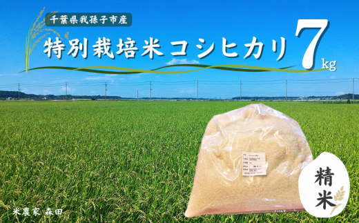 冷めても美味しい！ 特別栽培米 コシヒカリ 7kg（精米） 農家直送 千葉県産 237078 - 千葉県我孫子市