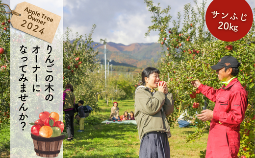 KO01-24A りんごの木のオーナー（サンふじ）【20kg限定】／11月中旬～下旬頃収穫 //長野県 南信州 りんごオーナー りんごの木オーナー フジ 収穫体験