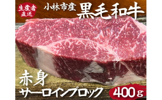 【C175・生産直売】小林市産黒毛和牛赤身サーロインブロック　400ｇ（国産 牛 牛肉 赤身 ブロック肉 ローストビーフ）