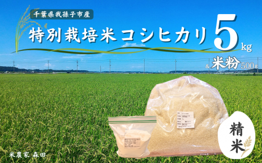冷めても美味しい！ 特別栽培米 コシヒカリ 5kg（精米）と米粉のセット 農家直送 千葉県産 1095344 - 千葉県我孫子市