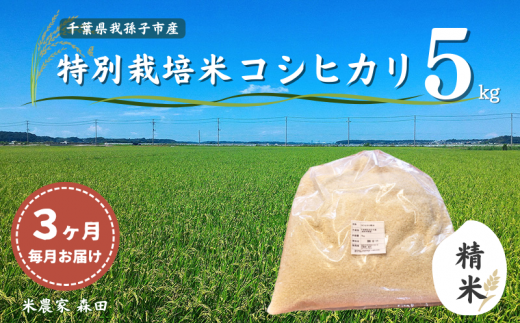 【毎月定期便3回】冷めても美味しい！ 特別栽培米 コシヒカリ 5kg×3回 計15kg（精米） 農家直送 千葉県産 1095340 - 千葉県我孫子市