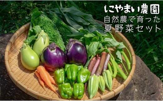 【高知県大月町産】にやまい農園　自然農で育った夏野菜セット 825385 - 高知県大月町