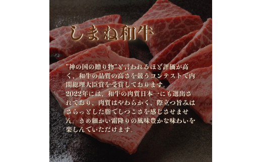 ごろっと しまね和牛カレー3食セット【1_5-020】 - 島根県出雲市