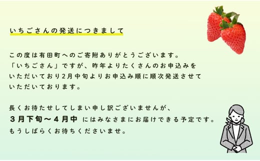 佐賀県有田町のふるさと納税 いちご イチゴ 苺 6パック 眺めてうっとり、かじって甘い！JAの「いちごさん」 240g×6パック 1400g 佐賀のいちごさん ジューシー たっぷり JA伊万里 10000円 1万円 F10-35