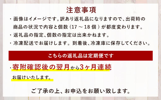 【定期便年3回・訳あり】 お試しパンセット 