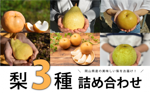 KF-C016【きよとう】梨好きのための、ご家庭用梨3種食べ比べセット 753231 - 岡山県真庭市