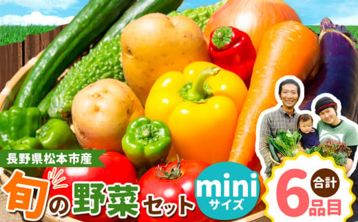 子育て農家の野菜セット（miniサイズ）農薬・化学肥料不使用 | 長野県 松本市 1259509 - 長野県松本市