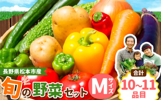 子育て農家の野菜セット（Mサイズ）農薬・化学肥料不使用 | 長野県 松本市 722758 - 長野県松本市