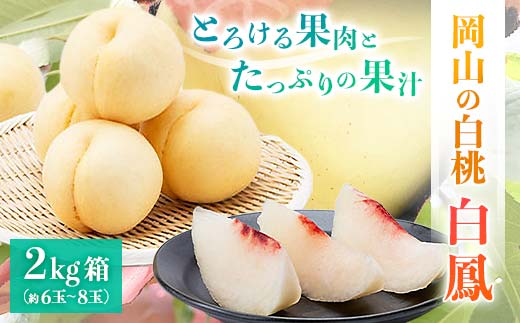 先行受付【2025年7月中旬より発送予定】とろける果肉とたっぷりの果汁の岡山の白桃・白鳳(2kg箱) TY0-0324 1218406 - 岡山県津山市