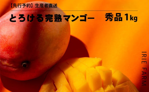 【2024年 先行予約】とろける完熟マンゴー 秀品 1kg 生産者直送 1254031 - 沖縄県名護市