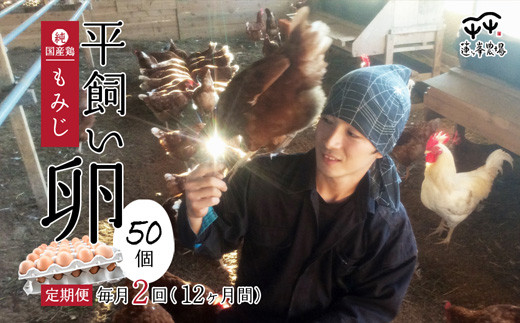 平飼いたまご 50個×月2回×12ヶ月 【 定期便 選べる 選べる月数 平飼い卵  卵定期便 たまご定期便 非遺伝子組み換え たまご タマゴ 平飼い 卵 国産 もみじ 京都 蓮ヶ峯農場 たまごかけごはん 卵かけごはん たまごかけご飯 綾部 】