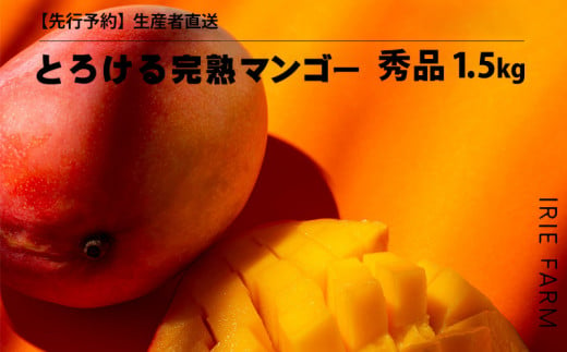 【2024年 先行予約】とろける完熟マンゴー 秀品 1.5kg 生産者直送 1254032 - 沖縄県名護市