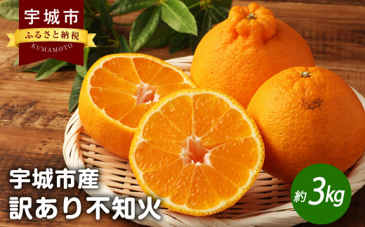 宇城市産 訳あり不知火 約3kg(7～12玉) 高岡農園【2024年3月上旬～2024年4月上旬発送予定】 1244317 - 熊本県宇城市