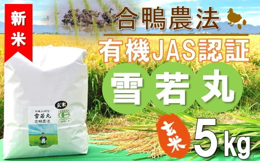 【令和6年産・玄米】ecofarmすがわらの合鴨農法有機JAS認証雪若丸5kg　※10月下旬ごろから順次発送開始
