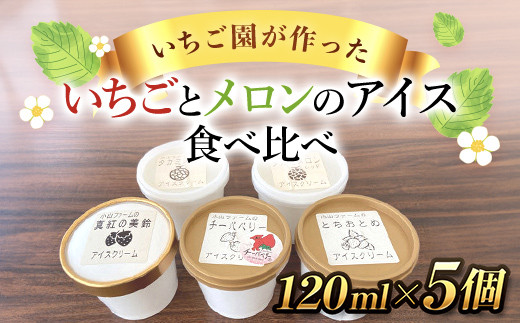 【希少品種】いちごとメロンのアイス 食べ比べ5個セット SMAN013 996821 - 千葉県山武市