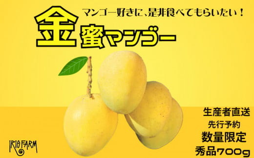 【2024年 先行予約 数量限定】マンゴー好きに食べてもらいたい！金蜜マンゴー 秀品700g 生産者直送 1254319 - 沖縄県名護市