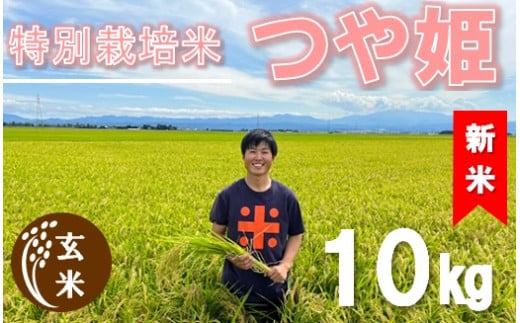 【令和6年産・玄米】ecofarmすがわらの特別栽培米つや姫10kg　※10月下旬ごろから順次発送開始
