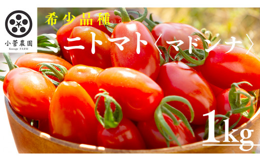 ミニトマト（マドンナ）約1kg ミニトマト マドンナ とまと リコピン トマト 野菜