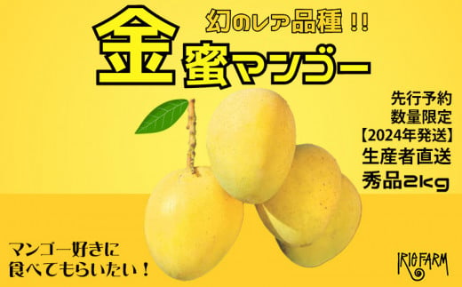【2024年 先行予約 数量限定】マンゴー好きに食べてもらいたい！金蜜マンゴー 秀品 2kg 生産者直送 1254321 - 沖縄県名護市