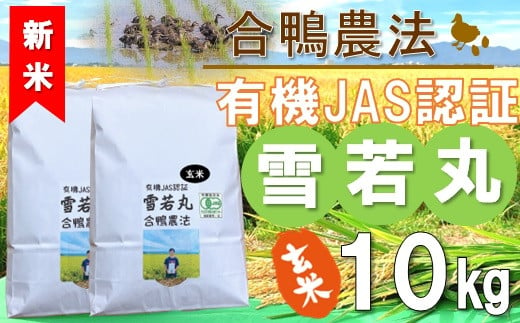 【令和6年産・玄米】ecofarmすがわらの合鴨農法有機JAS認証雪若丸10kg　※10月下旬ごろから順次発送開始