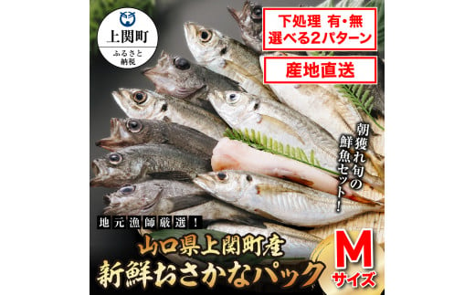 A-25　新鮮おさかなパック（Mサイズ／鮮魚） 1254983 - 山口県上関町