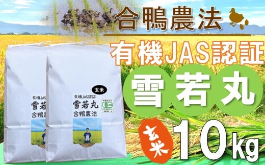 【令和5年産・玄米】ecofarmすがわらの合鴨農法有機JAS認証雪若丸10kg