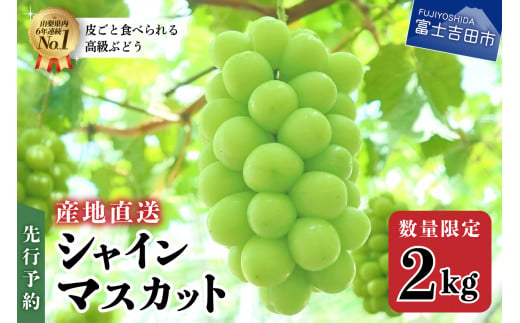 先行予約【産地直送】高級シャインマスカット2kg以上（3～4房）フルーツ 山梨県産 シャインマスカット 果物 旬 高級 先行予約 2024年  シャインマスカット フルーツ シャインマスカット 高級 シャインマスカット 2024年 先行予約 シャインマスカット ぶどう 予約 シャインマスカット 