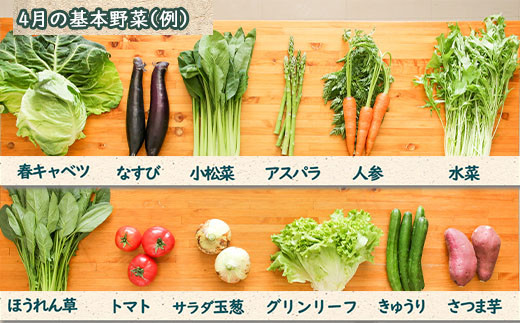 ７品目以上を基準に旬の野菜とお米セットでお届け