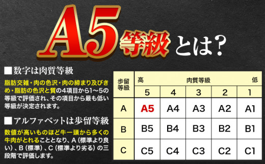 岡山県矢掛町のふるさと納税 246.A5等級 黒毛和牛 サーロインステーキ 約400g【配送不可地域あり】《30日以内に出荷予定(土日祝除く)》 岡山県 矢掛町 ステーキ サーロイン