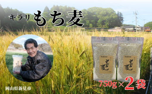 キラリもち麦 約1.5kg (約750g×2袋)  1262245 - 岡山県新見市