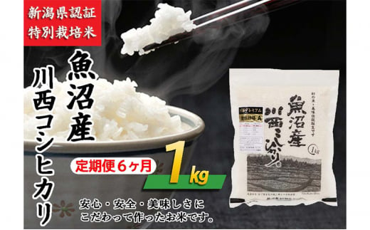 【定期便／6ヶ月】魚沼産川西こしひかり1kg 新潟県認証特別栽培米 505790 - 新潟県十日町市