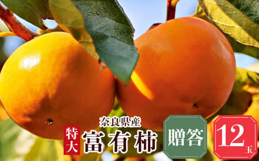 【堀内果実園】富有柿 贈答品 2Lサイズ 最高級の柿 12玉