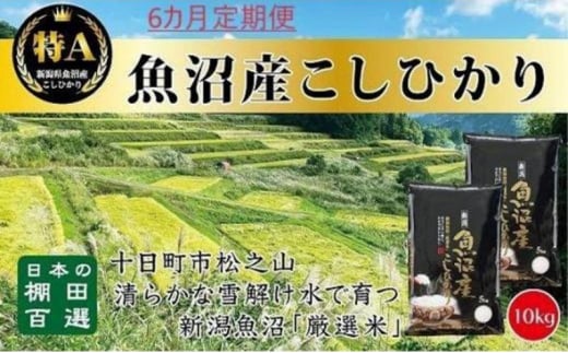 「6カ月定期便」日本棚田百選のお米　天空の里・魚沼産こしひかり　10kg(5kg×2)×6回 1116175 - 新潟県十日町市