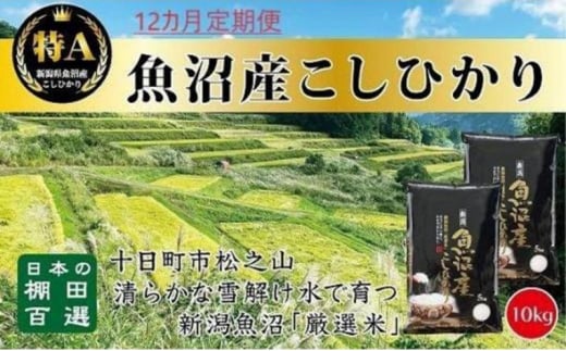 「12カ月定期便」日本棚田百選のお米　天空の里・魚沼産こしひかり　10kg(5kg×2)×12回 1116176 - 新潟県十日町市