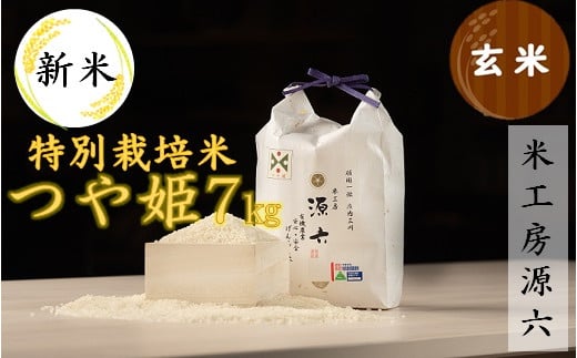 [令和6年産・玄米]米工房源六が作る特別栽培米つや姫7kg