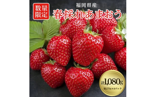 [数量限定]福岡県産 春採れあまおう 約270g×4パック