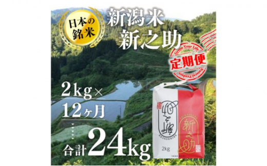 [№5340-0493]【12カ月定期便】新潟米新之助（精米）2kg 673599 - 新潟県十日町市