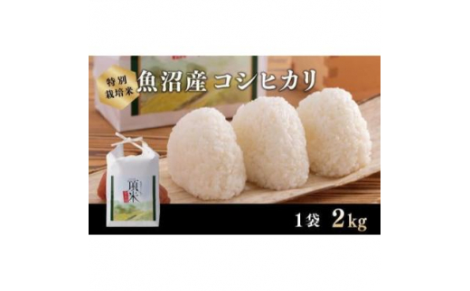 【特別栽培米】頂米　金兵衛　魚沼産コシヒカリ（精米）2kg