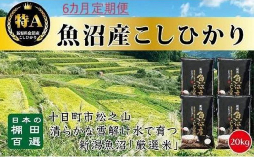 「6カ月定期便」日本棚田百選のお米　天空の里・魚沼産こしひかり　20kg（5kg×4）×6回 1116181 - 新潟県十日町市