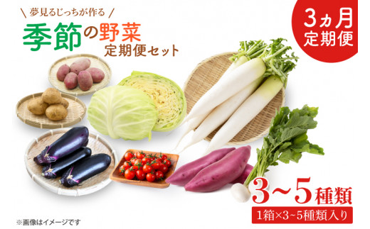 CN-6 【3ヶ月定期便】 夢見るじっちが作る季節の野菜セット 3～5種類入り1箱 1256778 - 茨城県行方市