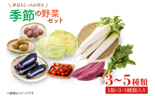 CN-5 夢見るじっちが作る季節の野菜セット　3～5種類入り1箱 1256779 - 茨城県行方市