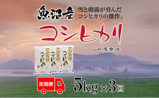 [№5340-0912]【定期便☆全3回】★令和5年産★魚沼産コシヒカリ 5kg