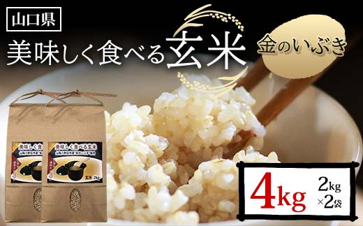 山口県山陽小野田市のふるさと納税 お礼の品ランキング【ふるさと