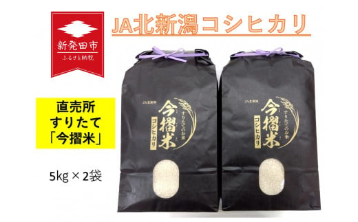 令和5年産 JA北新潟 特別栽培米コシヒカ