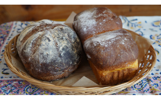 ※写真はイメージです。季節によってパンの種類が変わりますので、実際の商品とは異なる場合があります。