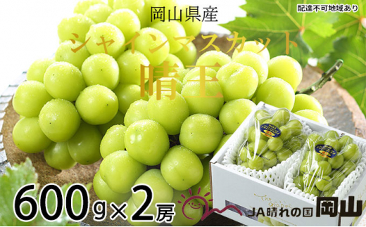 ぶどう 2026年 先行予約 シャイン マスカット 晴王 約600g×2房 ブドウ 葡萄  岡山県産 国産 フルーツ 果物 ギフト シャインマスカット 美しい 大粒 種なし 弾力 高糖度 甘い 