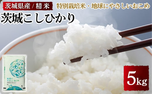 茨城県産特別栽培米 地球にやさしいおこめ 茨城こしひかり 5kg※離島への配送不可