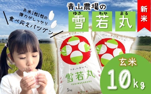 【令和6年産・玄米】青山農場の特別栽培米雪若丸10kg（5kg×2袋）