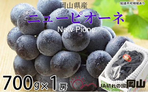 ぶどう 2026年 先行予約 ニュー ピオーネ 約700g×1房 ブドウ 葡萄  岡山県産 国産 フルーツ 果物 ギフト 果物類 ニューピオーネ 酸味 大粒 種なし 人気 高糖度 甘い 果汁 